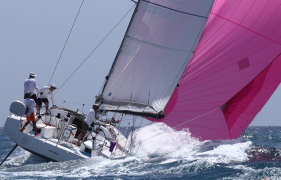 Sailboat Pogo 
