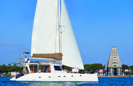 CEYCAT 53