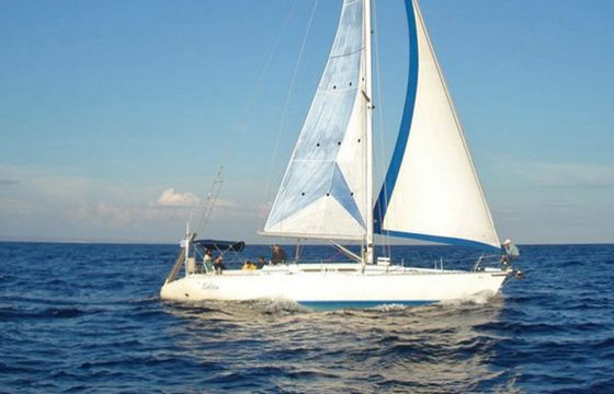 Atlantic 49
