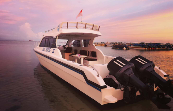 Luxury Private Motor Yacht Sea Horse