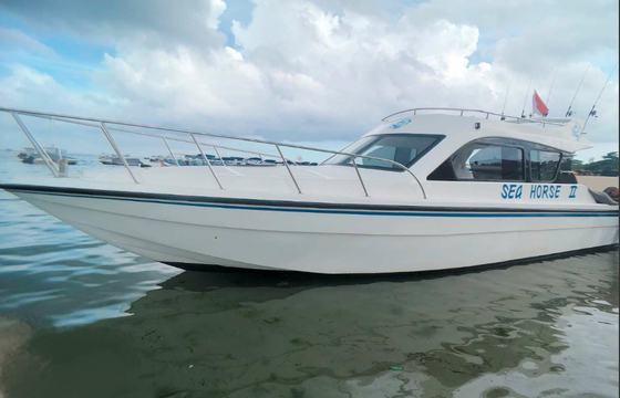 Luxury Private Motor Yacht Sea Horse