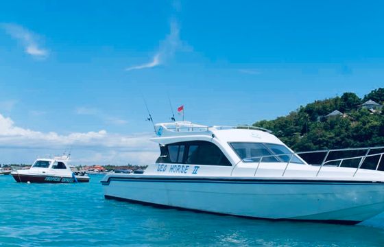 Luxury Private Motor Yacht Sea Horse
