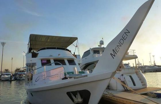 Seafalcon 74’