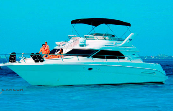 Sea Ray 45