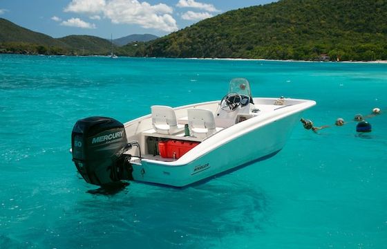 Boston Whaler