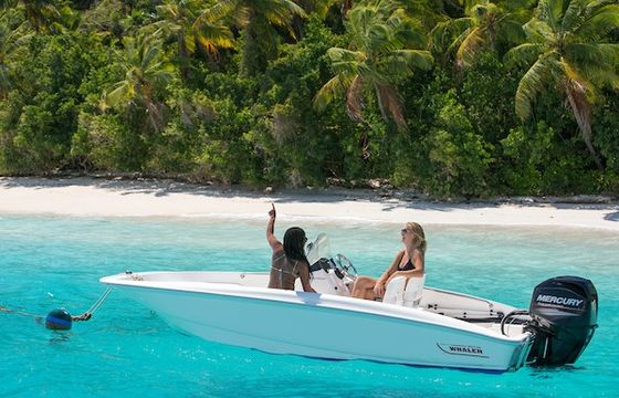 Boston Whaler
