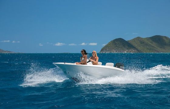 Boston Whaler