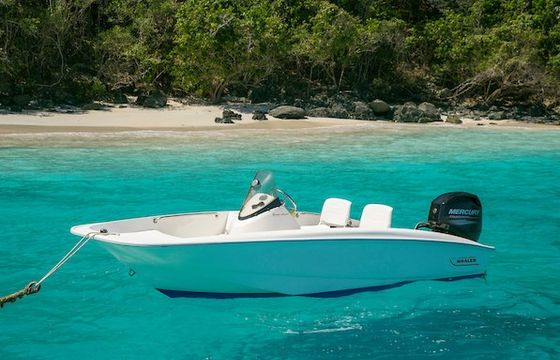 Boston Whaler