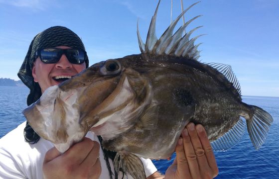 PURSUIT OFFSHORE 3000
