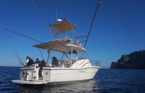 PURSUIT OFFSHORE 3000