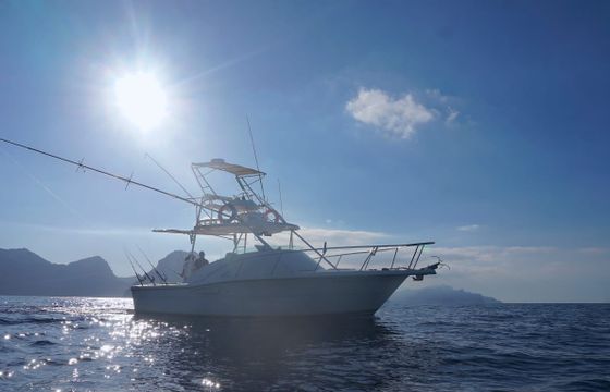 PURSUIT OFFSHORE 3000