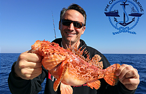 PURSUIT OFFSHORE 3000