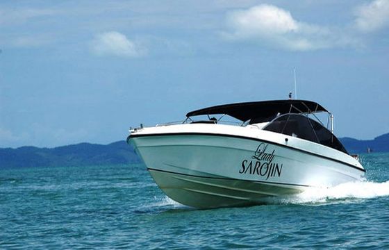 The Lady Sarojin