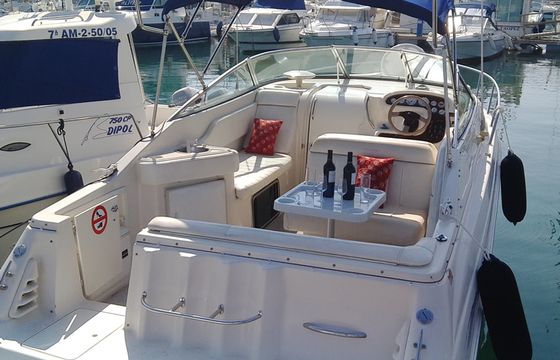 MONTEREY 262 CRUISER