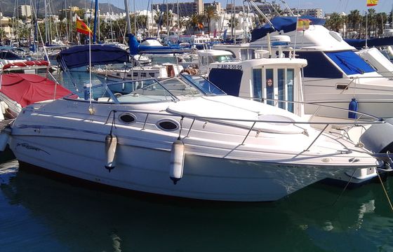 MONTEREY 262 CRUISER