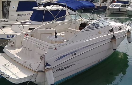 MONTEREY 262 CRUISER