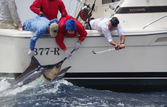 Sea Quest Sport Fishing