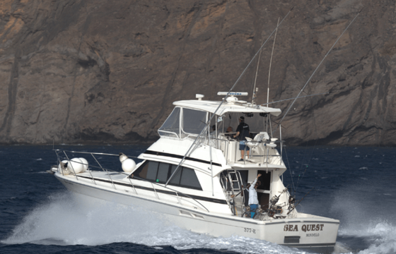 Sea Quest Sport Fishing