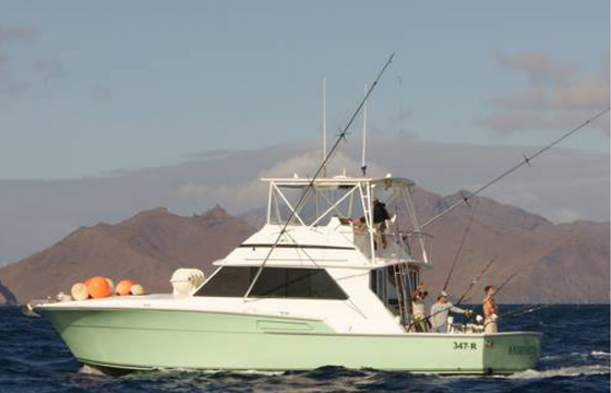 La Onda Fishing - Andromeda