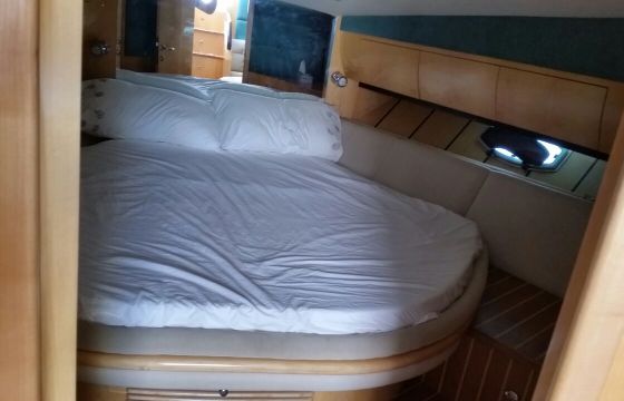 Oryx 36