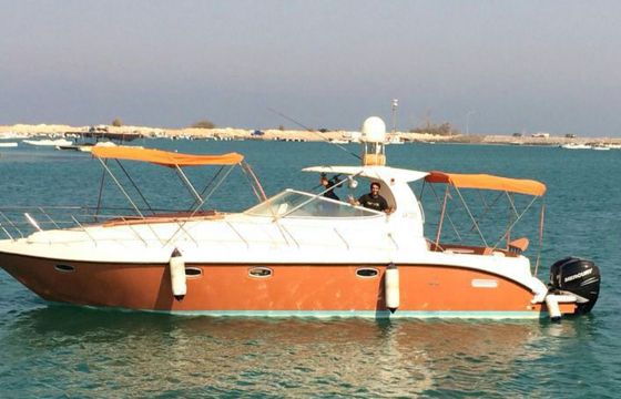 Oryx 36