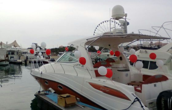 Oryx 36