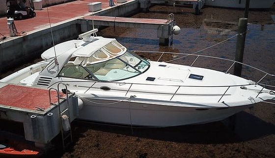 Sea Ray 40ft Deep Sea Fishing