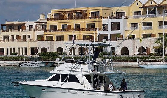 MARLIN FEVER 36FT