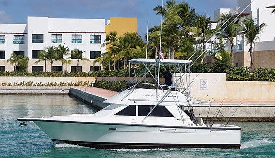 MARLIN FEVER 36FT