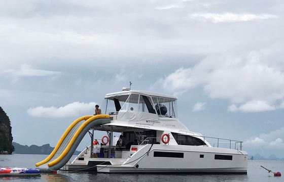 Leopard 43
