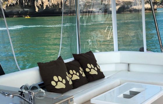 Leopard 43