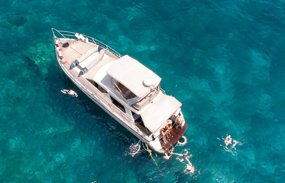 Sea Hawk