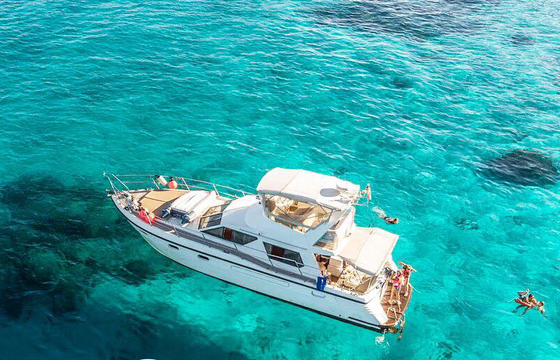 Sea Hawk