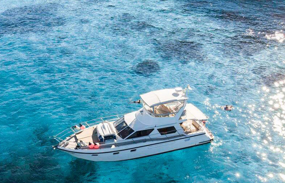 Sea Hawk