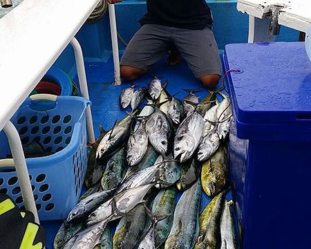 Bigtuna