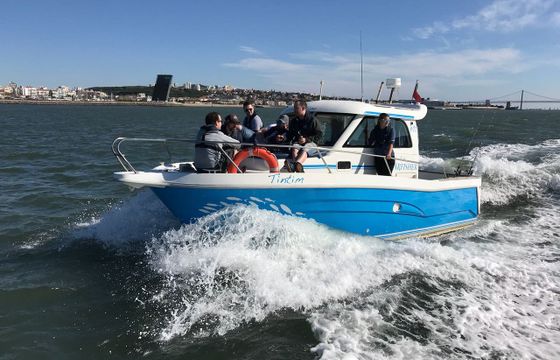 Baracuda