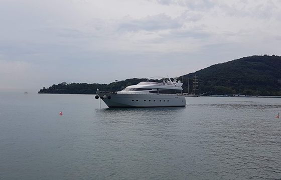 Nelson 25
