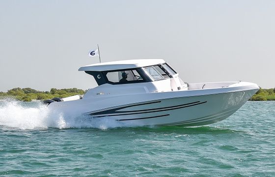Silvercraft 31HT
