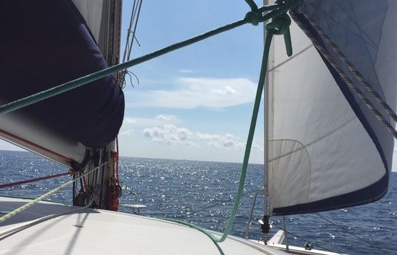 Salina 48