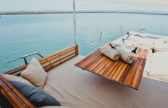 Ocean Voyager 73