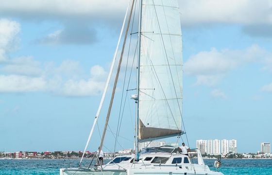Paradise Explorer