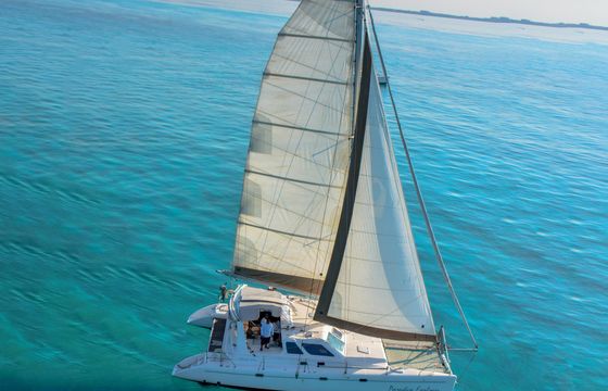 Paradise Explorer