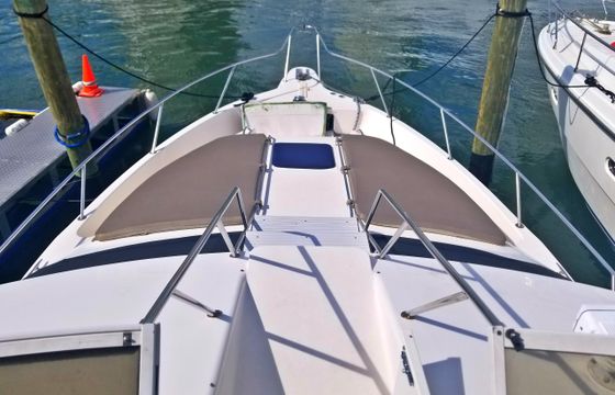 44' Sea Ray Flybridge