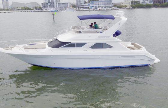 44' Sea Ray Flybridge