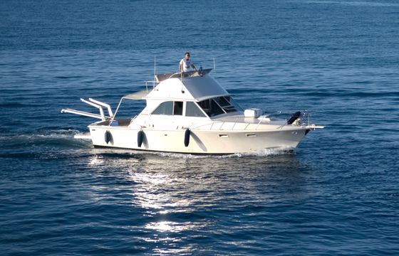FishTrackers.Tours Bertram 35ft