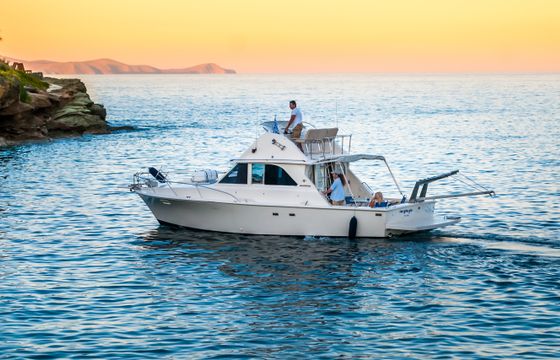 FishTrackers.Tours Bertram 35ft