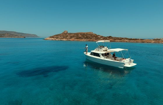 Bertram 31ft flybridge