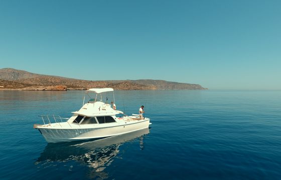 Bertram 31ft flybridge