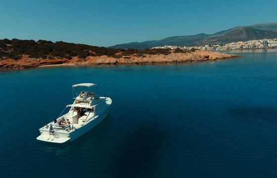 Bertram 31ft flybridge