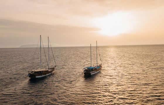 ARIVA II